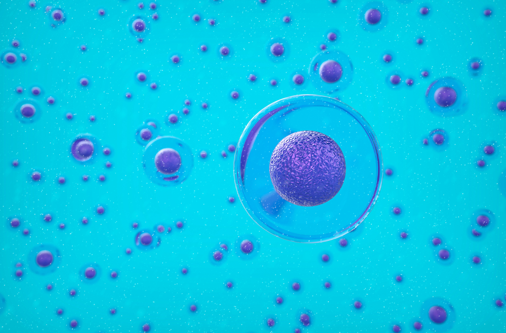 A cluster of purple single cell organisms against a blue background.